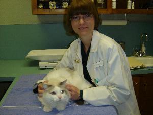 Dr. Raina Weldon with a patient